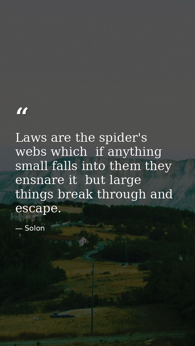 Laws are the spider's webs which  if anything small falls into them they ensnare it  but large things break through and  — Solon