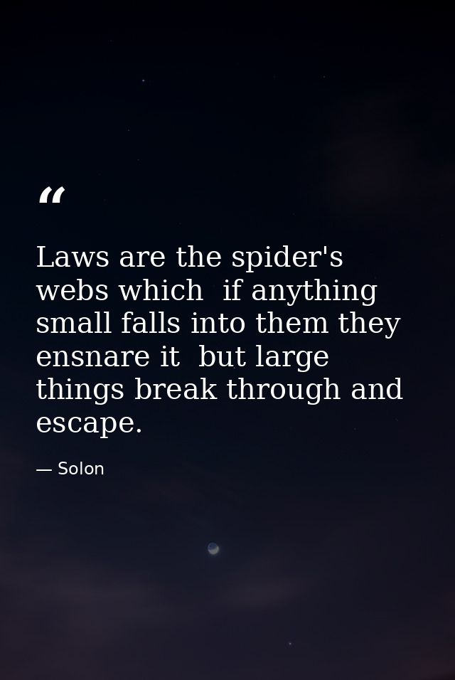 Laws are the spider's webs which  if anything small falls into them they ensnare it  but large things break through and  — Solon