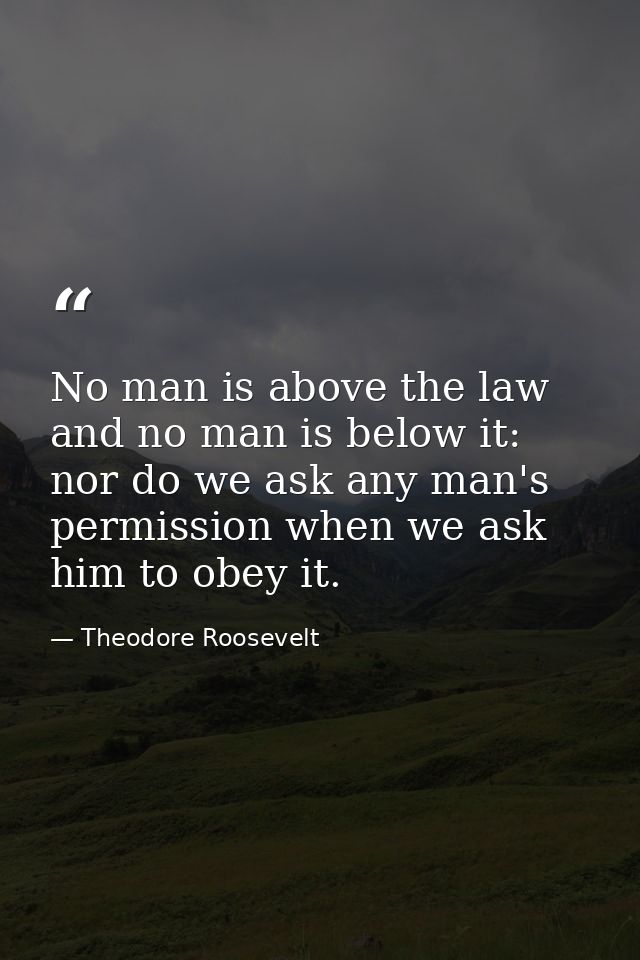 No man is above the law and no man is below it: nor do we ask any man's permission when we ask him to obey it. — Theodore Roosevelt