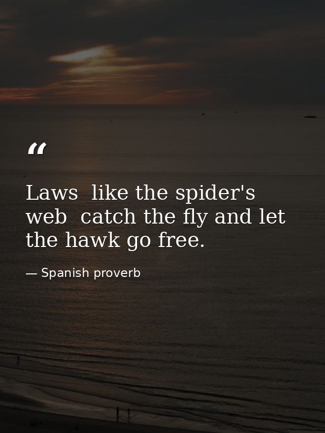 Laws  like the spider's web  catch the fly and let the hawk go free. — Spanish proverb