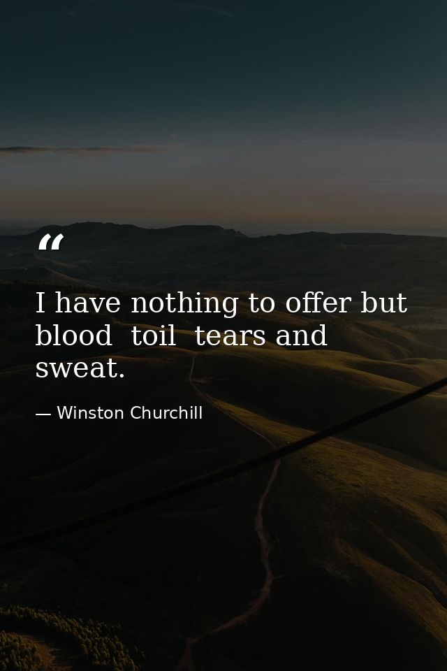 I have nothing to offer but blood  toil  tears and sweat. — Winston Churchill