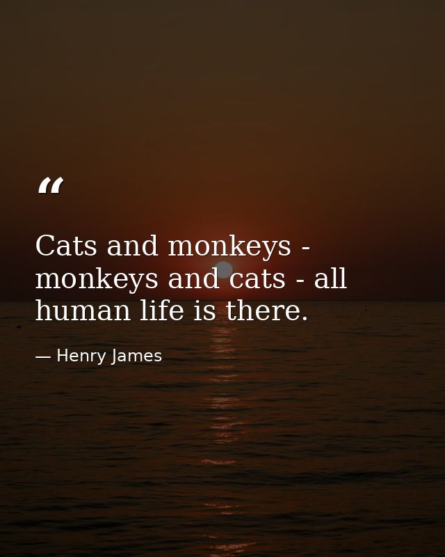 Cats and monkeys - monkeys and cats - all human life is there. — Henry James