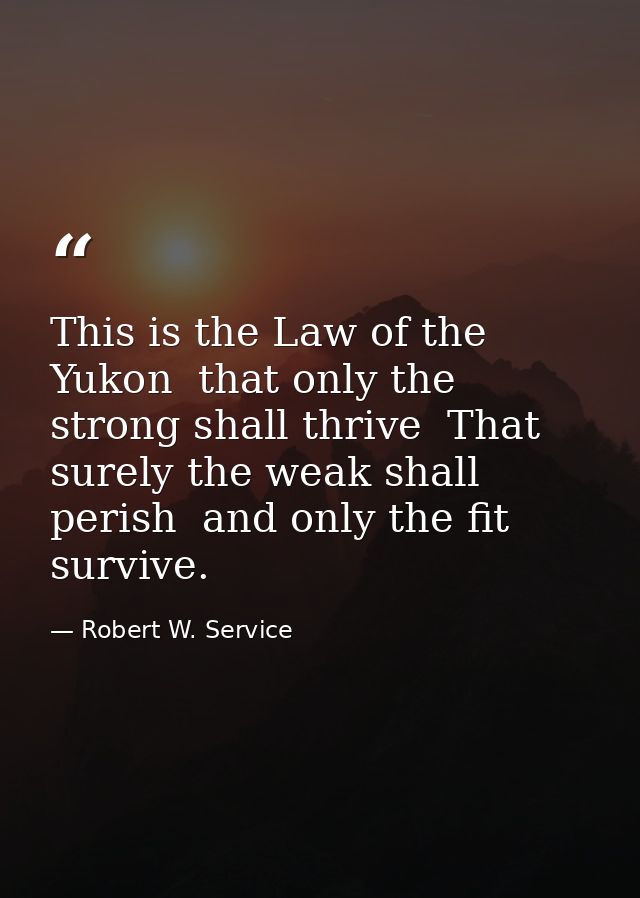 This is the Law of the Yukon  that only the strong shall thrive  That surely the weak shall perish  and only the fit sur — Robert W. Service