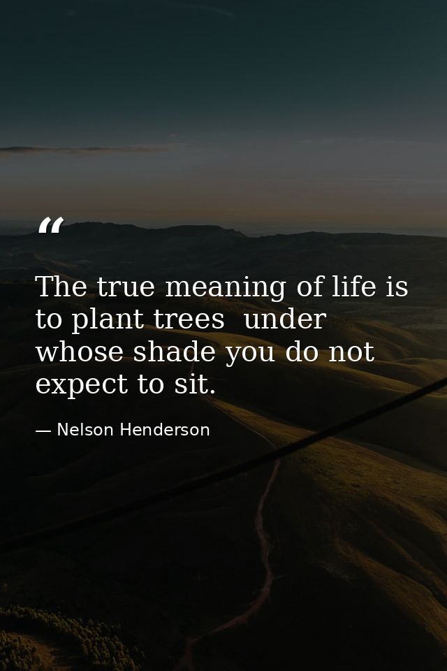 The true meaning of life is to plant trees  under whose shade you do not expect to sit. — Nelson Henderson