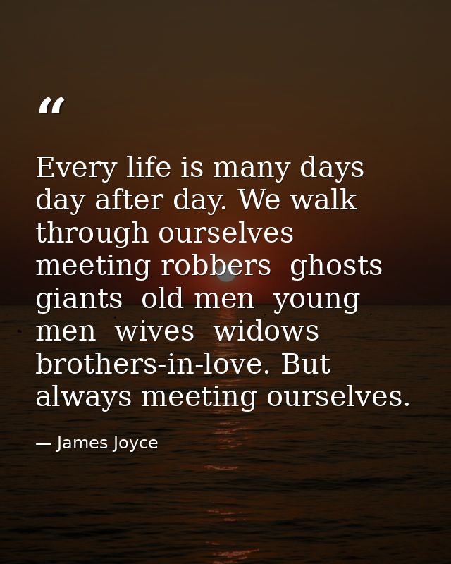 Every life is many days  day after day. We walk through ourselves  meeting robbers  ghosts  giants  old men  young men   — James Joyce
