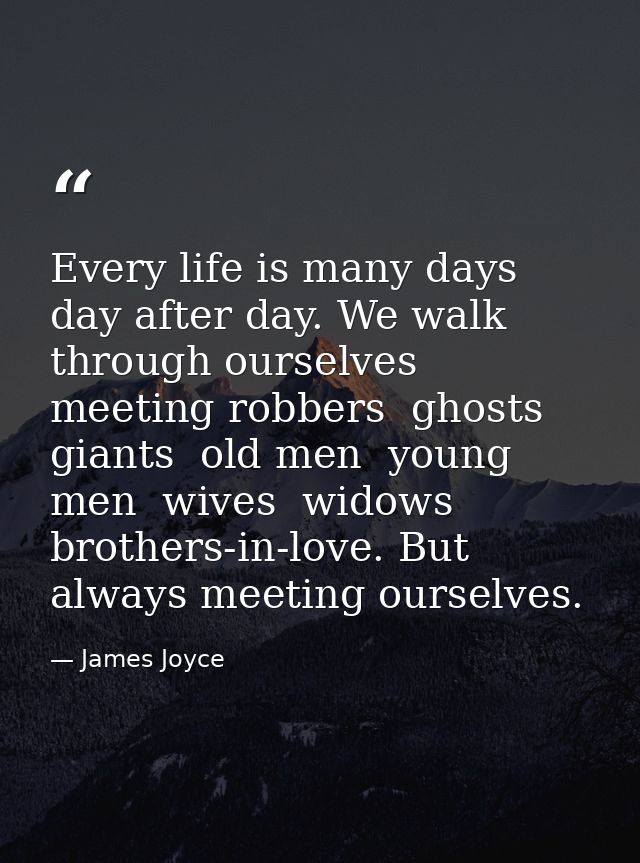 Every life is many days  day after day. We walk through ourselves  meeting robbers  ghosts  giants  old men  young men   — James Joyce