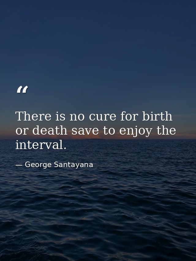There is no cure for birth or death save to enjoy the interval. — George Santayana