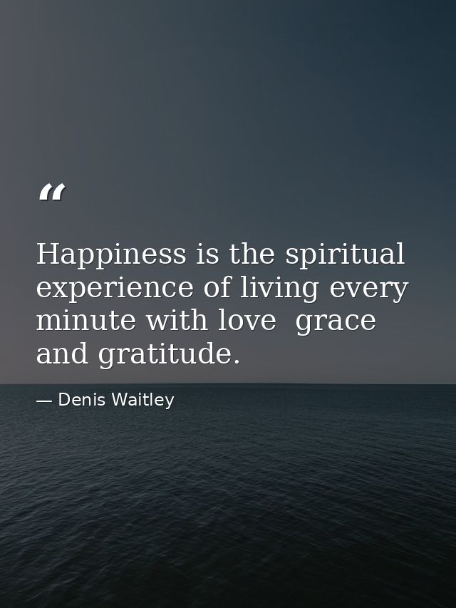 Happiness is the spiritual experience of living every minute with love  grace  and gratitude. — Denis Waitley