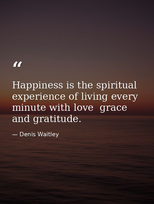 Happiness is the spiritual experience of living every minute with love  grace  and gratitude. — Denis Waitley