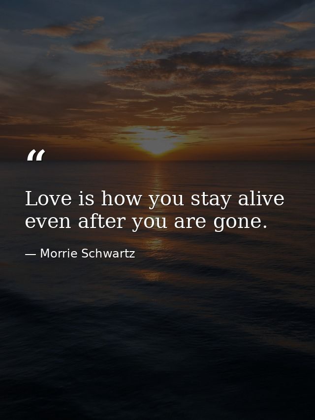 Love is how you stay alive  even after you are gone. — Morrie Schwartz