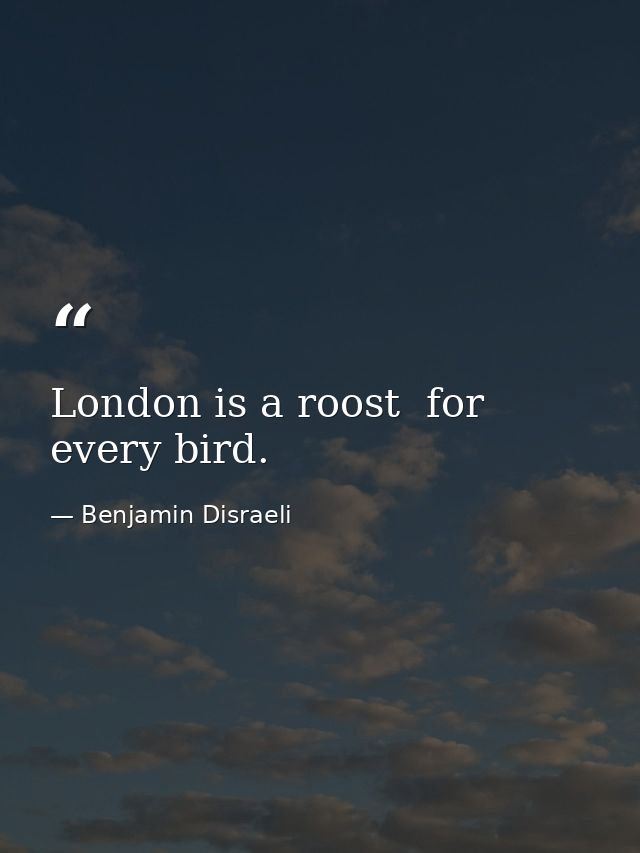 London is a roost  for every bird. — Benjamin Disraeli