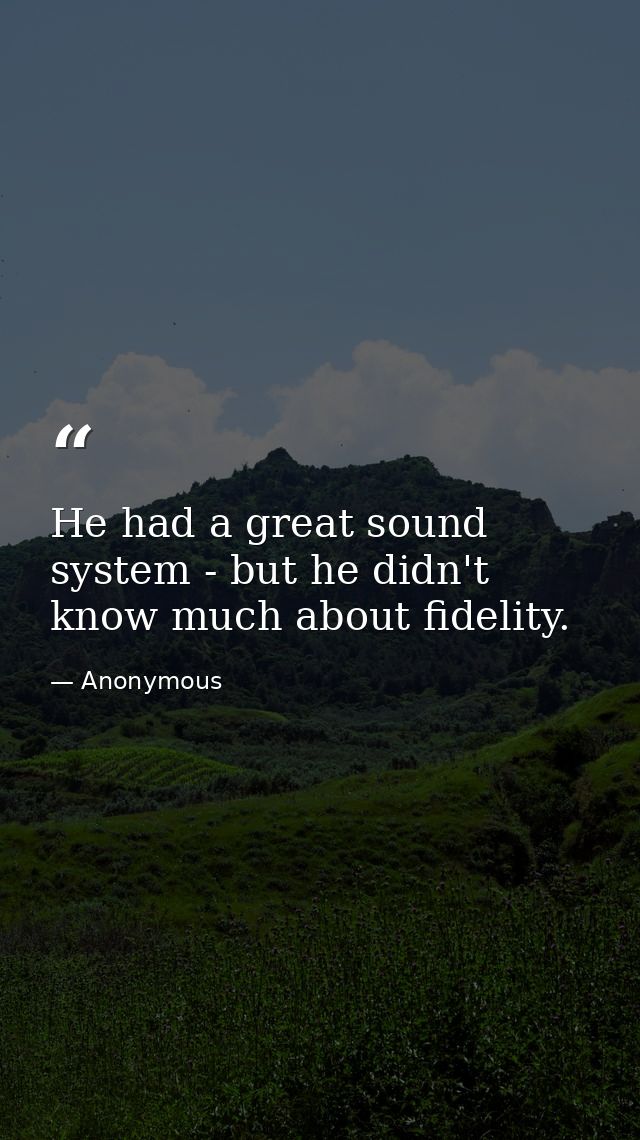 He had a great sound system - but he didn't know much about fidelity. — Anonymous