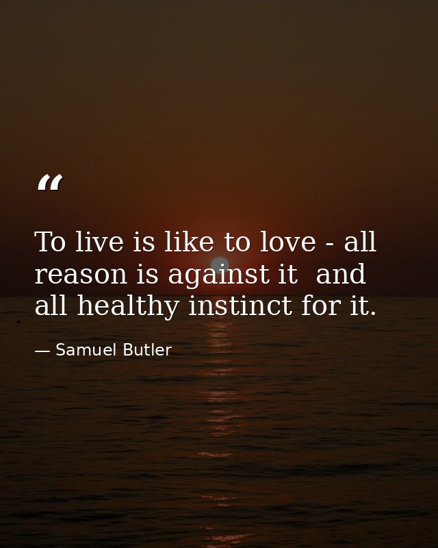 To live is like to love - all reason is against it  and all healthy instinct for it. — Samuel Butler