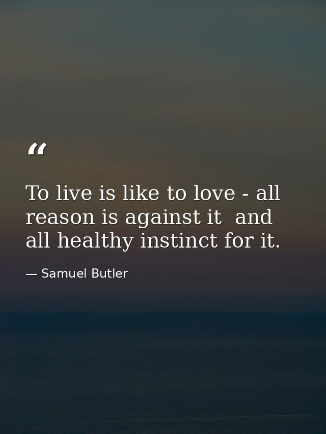 To live is like to love - all reason is against it  and all healthy instinct for it. — Samuel Butler