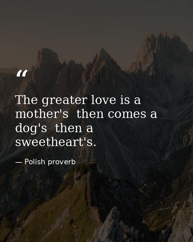 The greater love is a mother's  then comes a dog's  then a sweetheart's. — Polish proverb