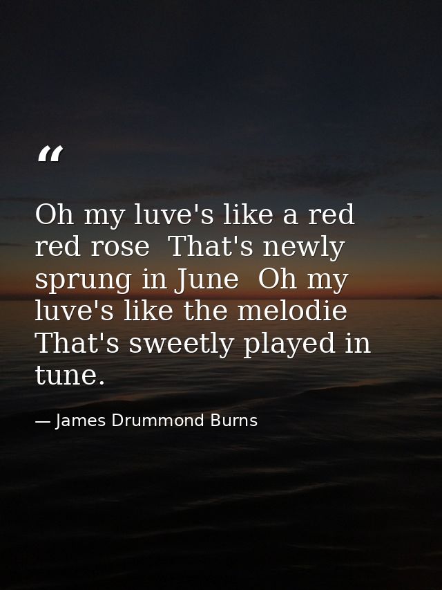 Oh my luve's like a red  red rose  That's newly sprung in June  Oh my luve's like the melodie That's sweetly played in t — James Drummond Burns