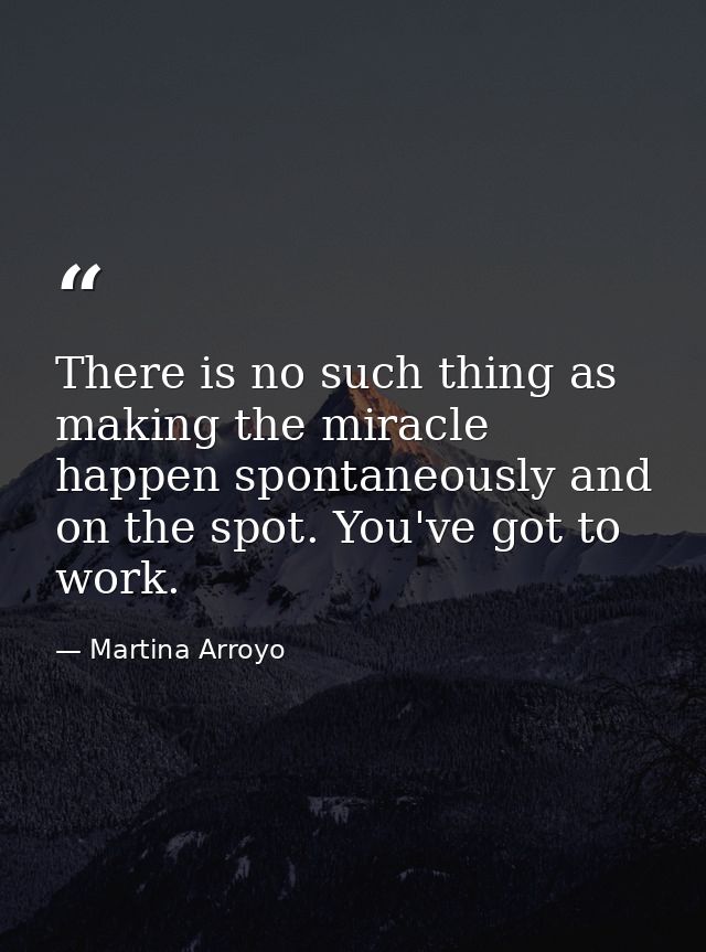 There is no such thing as making the miracle happen spontaneously and on the spot. You've got to work. — Martina Arroyo