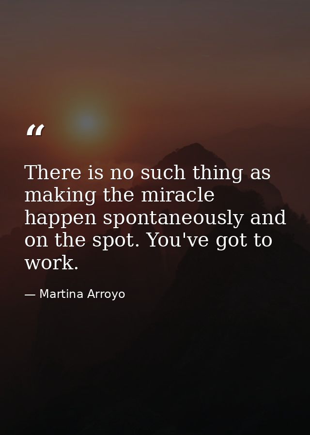There is no such thing as making the miracle happen spontaneously and on the spot. You've got to work. — Martina Arroyo
