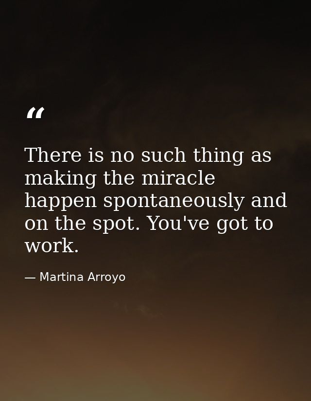 There is no such thing as making the miracle happen spontaneously and on the spot. You've got to work. — Martina Arroyo