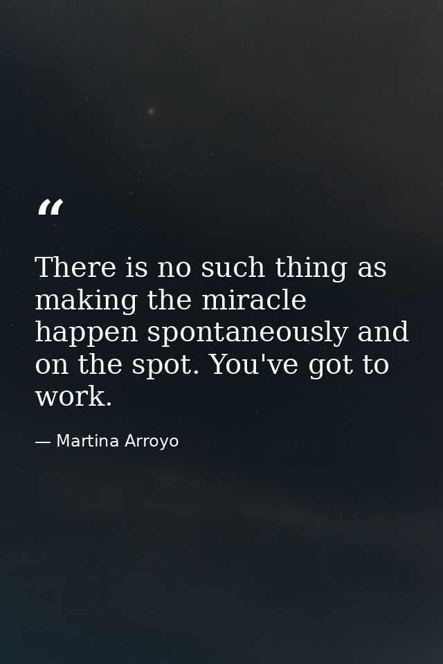 There is no such thing as making the miracle happen spontaneously and on the spot. You've got to work. — Martina Arroyo