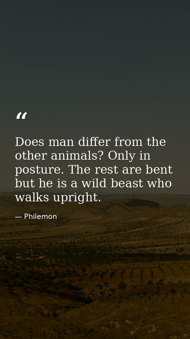 Does man differ from the other animals? Only in posture. The rest are bent  but he is a wild beast who walks upright. — Philemon