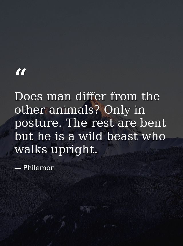 Does man differ from the other animals? Only in posture. The rest are bent  but he is a wild beast who walks upright. — Philemon