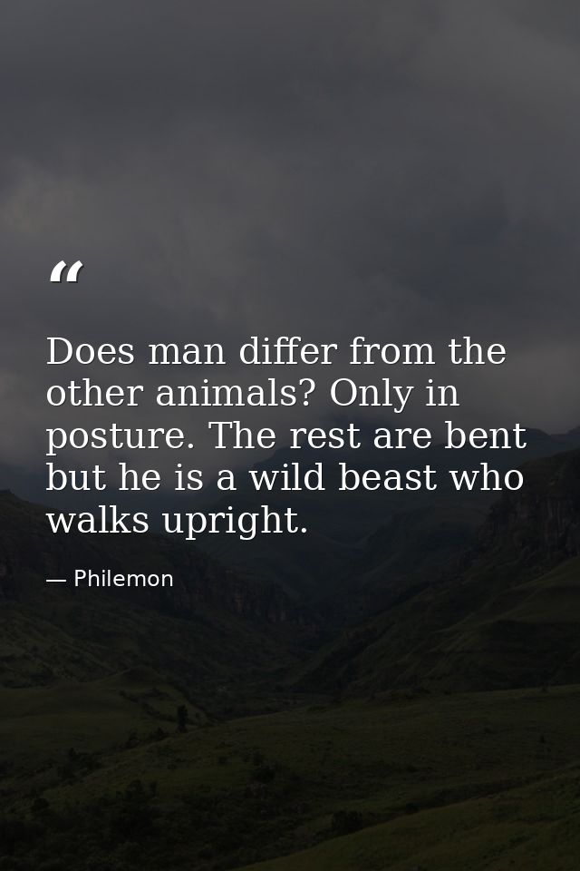 Does man differ from the other animals? Only in posture. The rest are bent  but he is a wild beast who walks upright. — Philemon