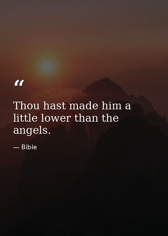 Thou hast made him a little lower than the angels. — Bible