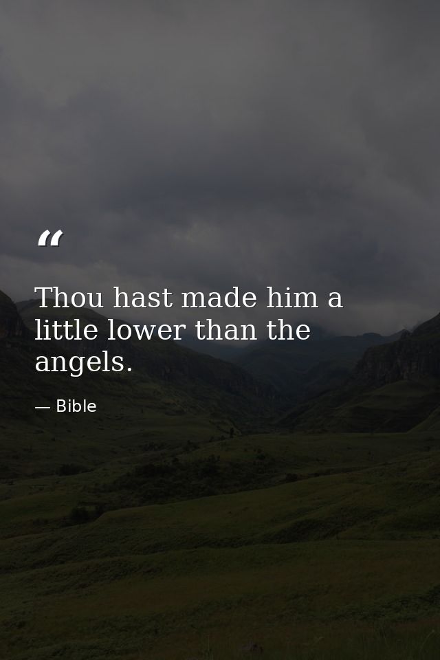Thou hast made him a little lower than the angels. — Bible