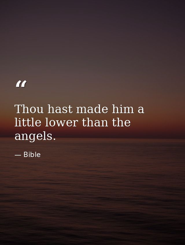 Thou hast made him a little lower than the angels. — Bible