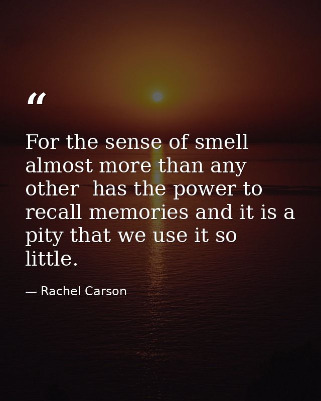 For the sense of smell  almost more than any other  has the power to recall memories and it is a pity that we use it so  — Rachel Carson
