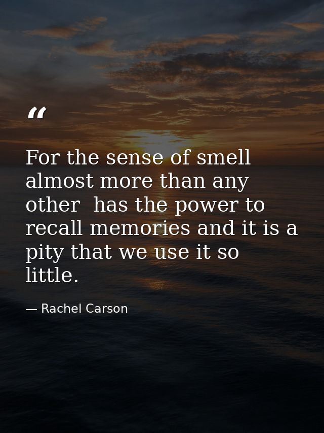 For the sense of smell  almost more than any other  has the power to recall memories and it is a pity that we use it so  — Rachel Carson