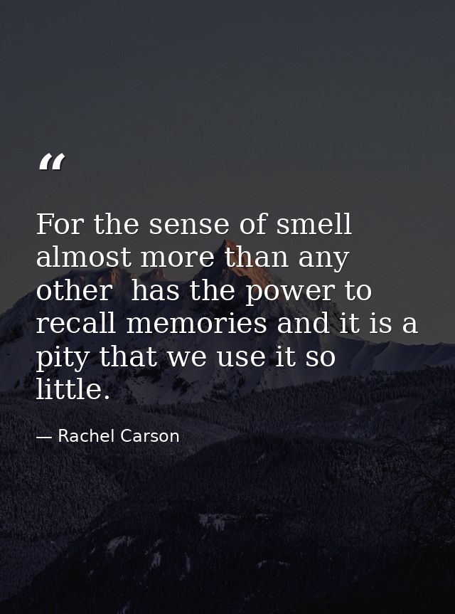 For the sense of smell  almost more than any other  has the power to recall memories and it is a pity that we use it so  — Rachel Carson