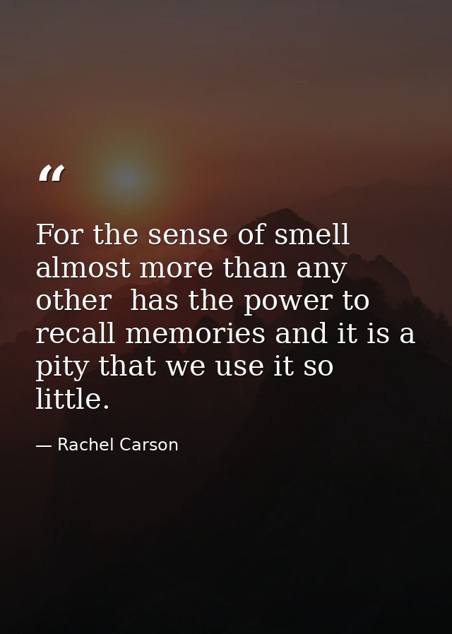 For the sense of smell  almost more than any other  has the power to recall memories and it is a pity that we use it so  — Rachel Carson