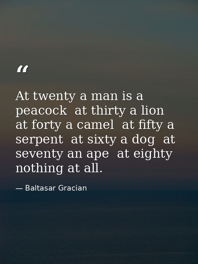 At twenty a man is a peacock  at thirty a lion  at forty a camel  at fifty a serpent  at sixty a dog  at seventy an ape  — Baltasar Gracian