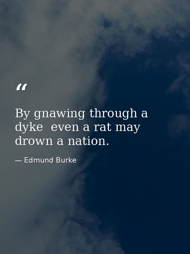 By gnawing through a dyke  even a rat may drown a nation. — Edmund Burke
