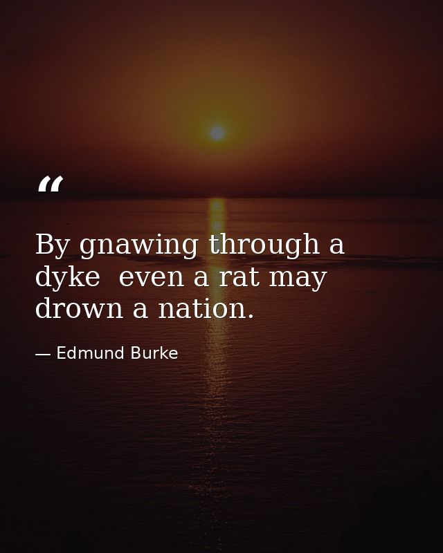 By gnawing through a dyke  even a rat may drown a nation. — Edmund Burke