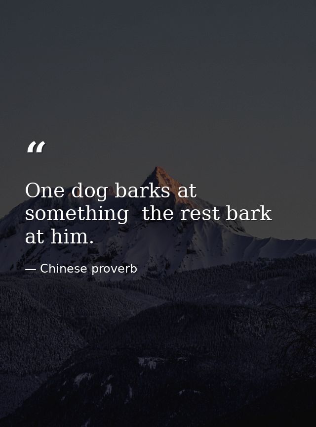 One dog barks at something  the rest bark at him. — Chinese proverb
