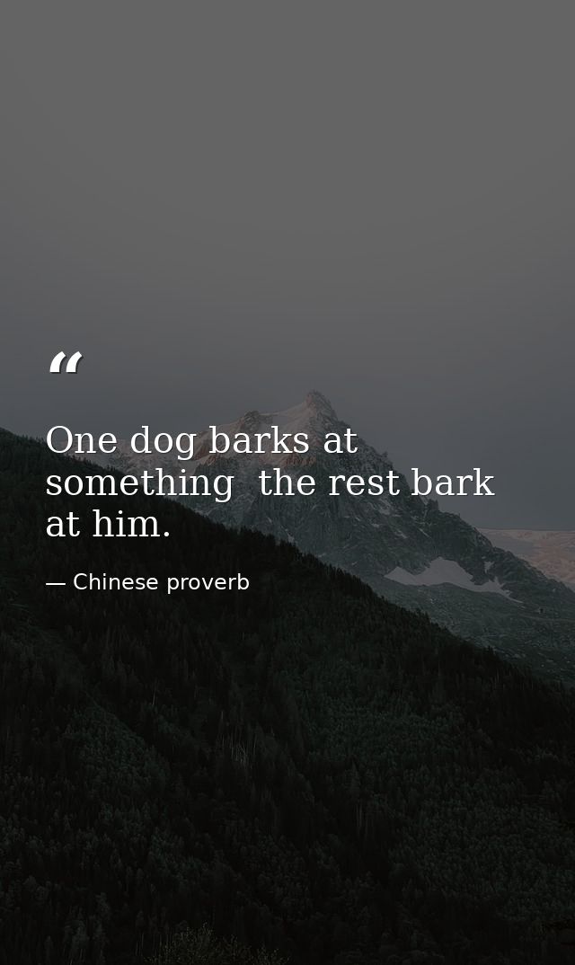 One dog barks at something  the rest bark at him. — Chinese proverb
