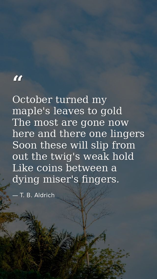 October turned my maple's leaves to gold  The most are gone now  here and there one lingers  Soon these will slip from o — T. B. Aldrich