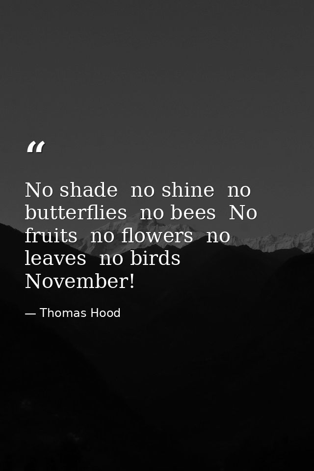 No shade  no shine  no butterflies  no bees  No fruits  no flowers  no leaves  no birds  November! — Thomas Hood