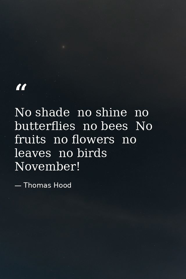 No shade  no shine  no butterflies  no bees  No fruits  no flowers  no leaves  no birds  November! — Thomas Hood
