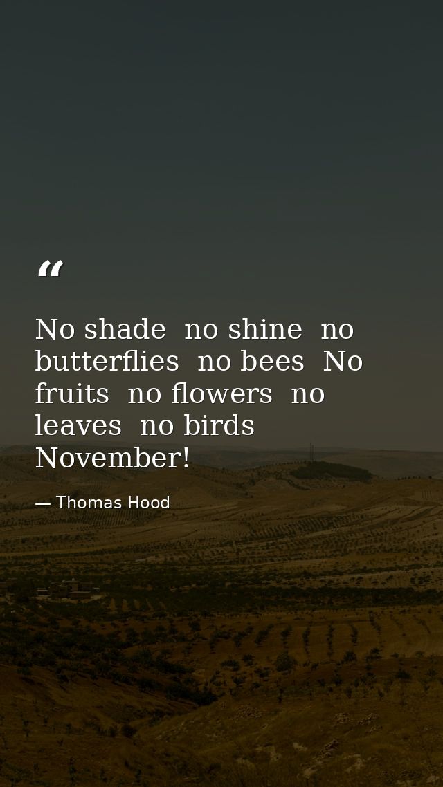 No shade  no shine  no butterflies  no bees  No fruits  no flowers  no leaves  no birds  November! — Thomas Hood