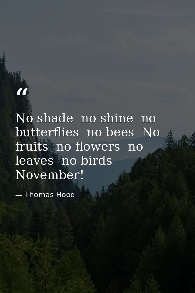 No shade  no shine  no butterflies  no bees  No fruits  no flowers  no leaves  no birds  November! — Thomas Hood