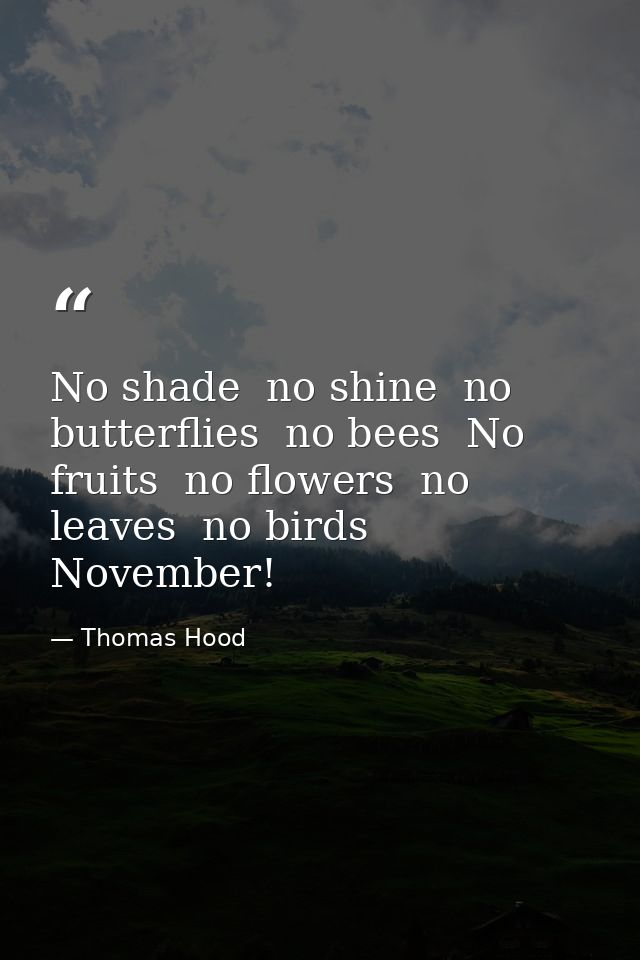 No shade  no shine  no butterflies  no bees  No fruits  no flowers  no leaves  no birds  November! — Thomas Hood