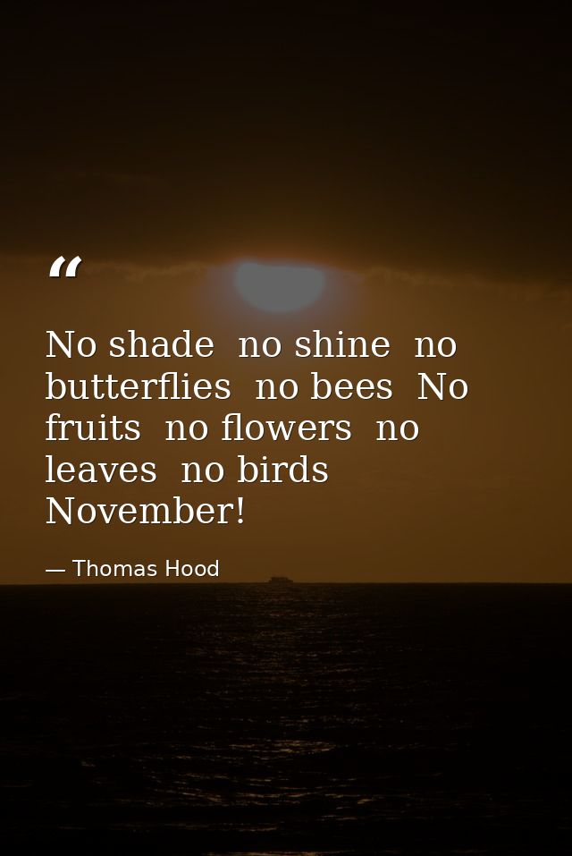 No shade  no shine  no butterflies  no bees  No fruits  no flowers  no leaves  no birds  November! — Thomas Hood