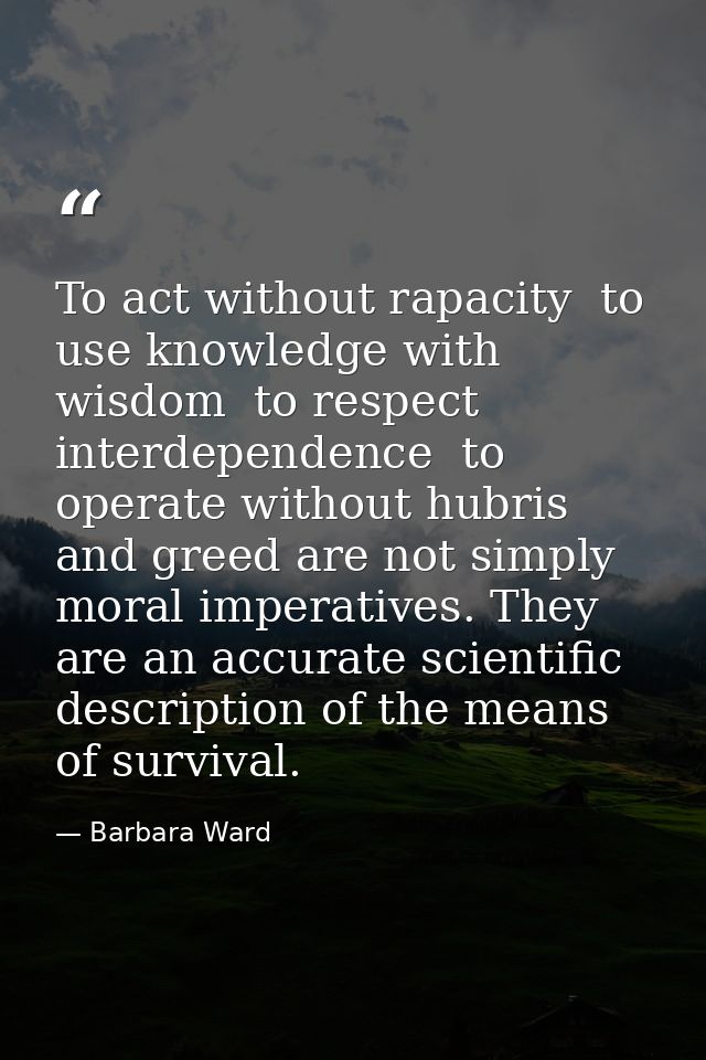 To act without rapacity  to use knowledge with wisdom  to respect interdependence  to operate without hubris and greed a — Barbara Ward