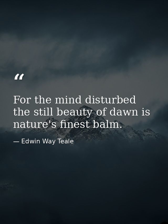 For the mind disturbed  the still beauty of dawn is nature's finest balm. — Edwin Way Teale