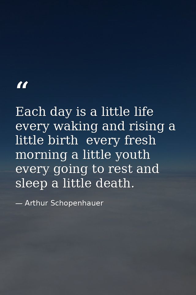 Each day is a little life  every waking and rising a little birth  every fresh morning a little youth  every going to re — Arthur Schopenhauer