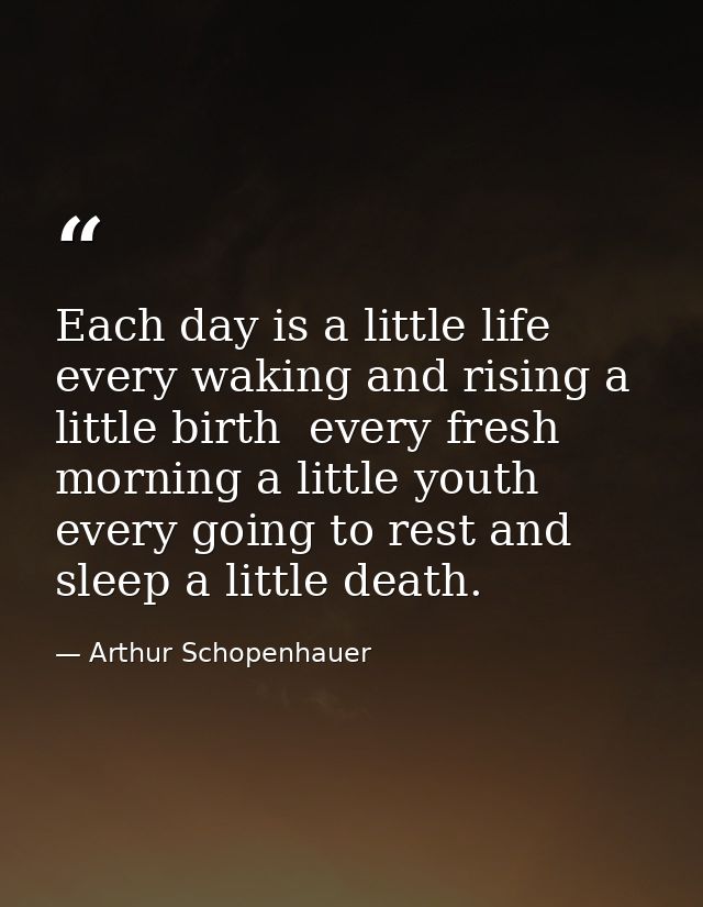 Each day is a little life  every waking and rising a little birth  every fresh morning a little youth  every going to re — Arthur Schopenhauer